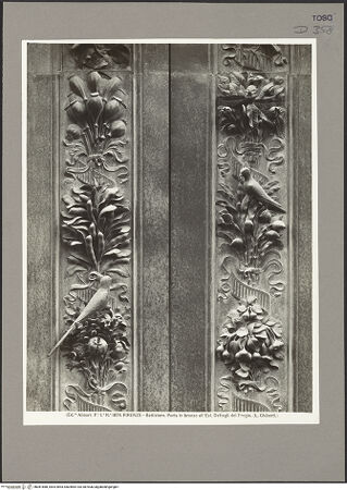 Vorderseite von bh081888_recto