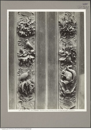 Vorderseite von bh081890_recto