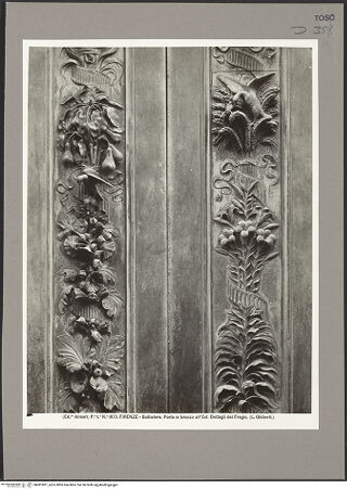 Vorderseite von bh081891_recto