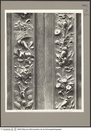 Vorderseite von bh081908_recto