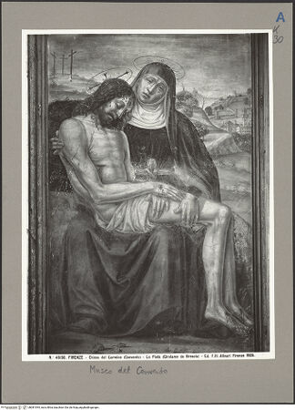 Vorderseite von bh081944_recto