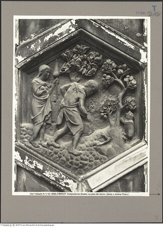 Vorderseite von bh081973_recto