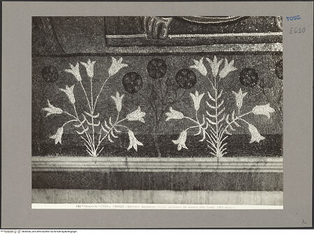 Vorderseite von bh082046_recto