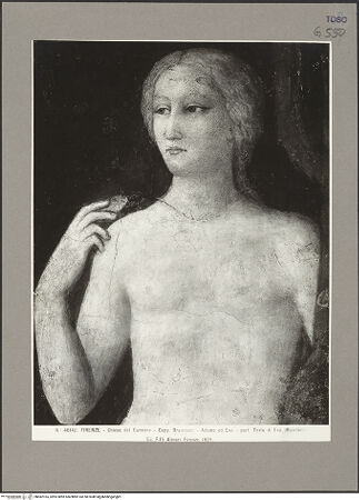 Vorderseite von bh082165_recto