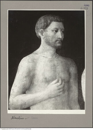 Vorderseite von bh082166_recto