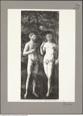 Vorderseite von bh082167_recto