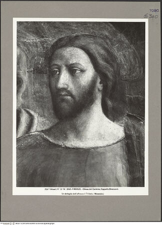 Vorderseite von bh082174_recto