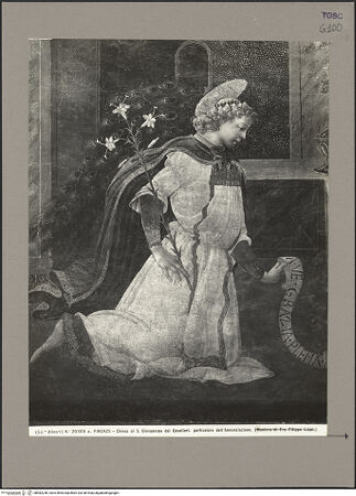 Vorderseite von bh082246_recto