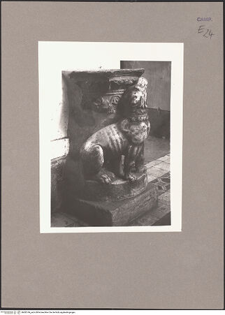 Vorderseite von ICCD [https://www.deutsche-digitale-bibliothek.de/content/lizenzen/rv-ez/] Hund - Gesamtansicht, bh082746_recto. Foto.