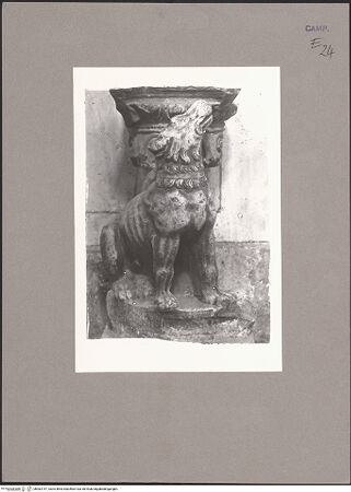 Vorderseite von ICCD [https://www.deutsche-digitale-bibliothek.de/content/lizenzen/rv-ez/] Hund - Gesamtansicht, bh082747_recto. Foto.