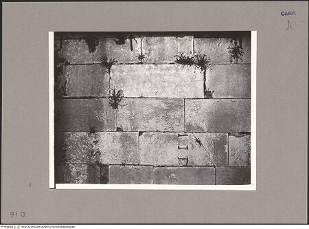 Vorderseite von ICCD [https://www.deutsche-digitale-bibliothek.de/content/lizenzen/rv-ez/] DuomoSüdwestfassade - Mauerdetail (Südseitenschiff), bh082753_recto. Foto.