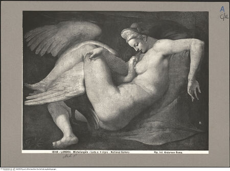 Vorderseite von bh083235_recto