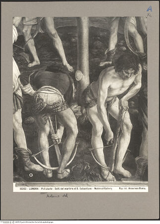 Vorderseite von bh083270_recto