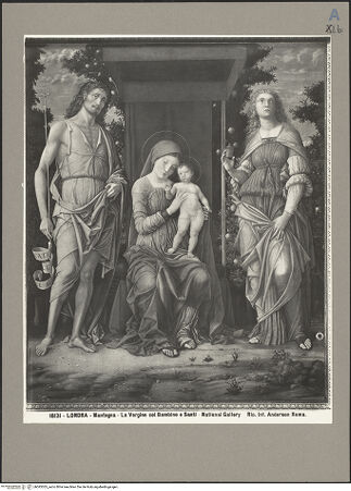 Vorderseite von bh083305_recto