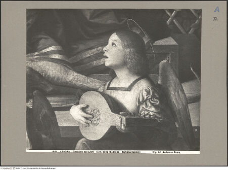 Vorderseite von bh083317_recto