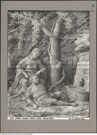 Vorderseite von bh083334_recto