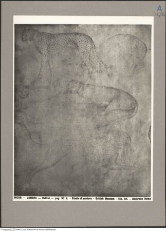 Vorderseite von bh083371_recto