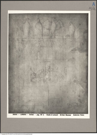 Vorderseite von bh083375_recto