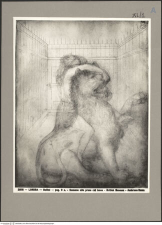 Vorderseite von bh083386_recto