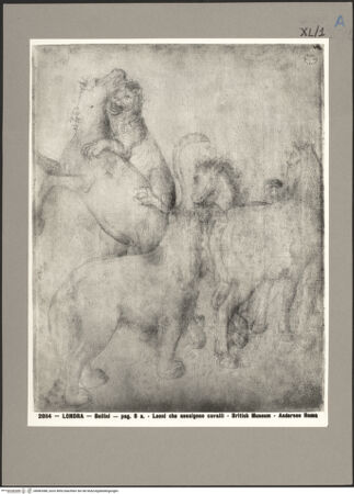 Vorderseite von bh083388_recto