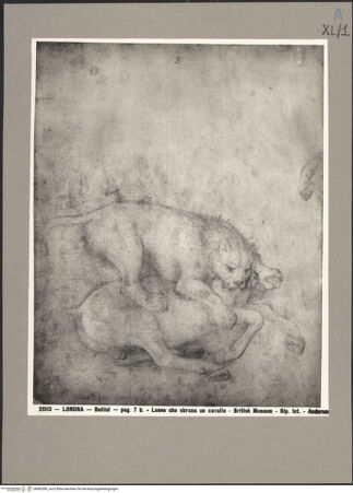 Vorderseite von bh083389_recto