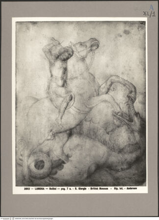 Vorderseite von bh083390_recto