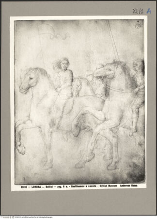 Vorderseite von bh083392_recto