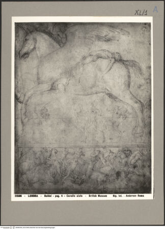 Vorderseite von bh083396_recto