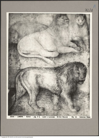 Vorderseite von bh083399_recto