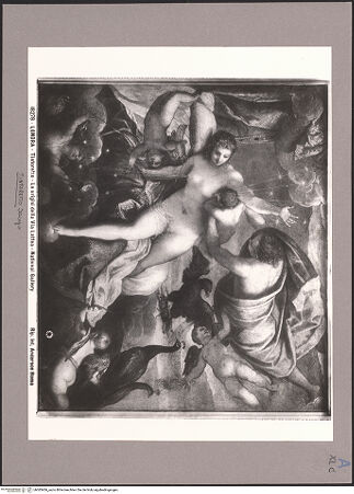 Vorderseite von bh083406_recto