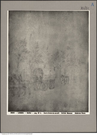 Vorderseite von bh083536_recto