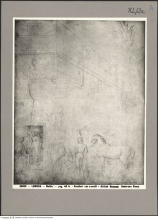 Vorderseite von bh083556_recto