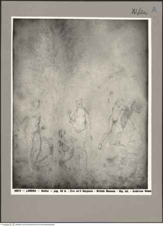 Vorderseite von bh083563_recto