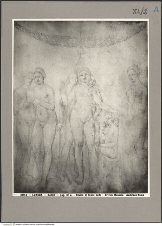 Vorderseite von bh083582_recto