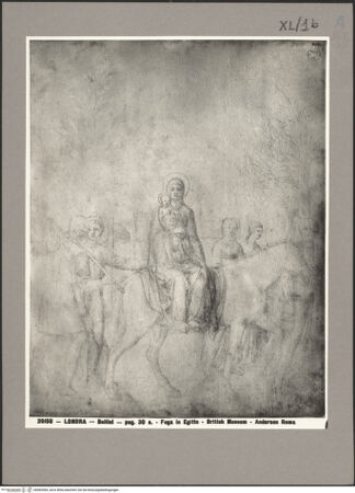 Vorderseite von bh083584_recto