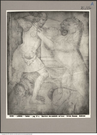 Vorderseite von bh083598_recto