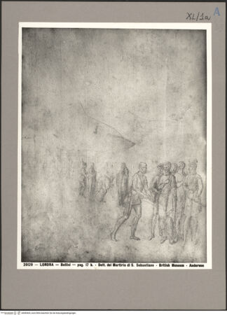 Vorderseite von bh083605_recto