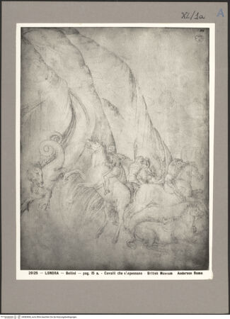 Vorderseite von bh083608_recto