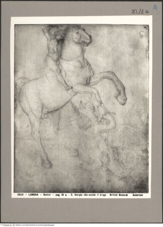 Vorderseite von bh083612_recto