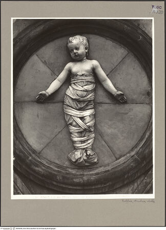 Vorderseite von bh083666_recto