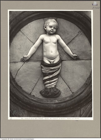 Vorderseite von bh083667_recto