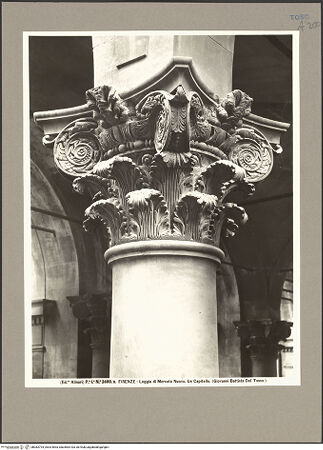 Vorderseite von bh083794_recto