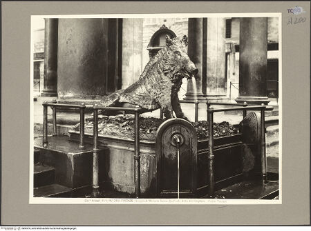 Vorderseite von bh083795_recto