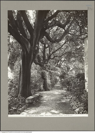 Vorderseite von bh083953_recto