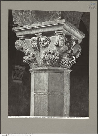 Vorderseite von bh083966_recto