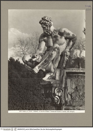 Vorderseite von bh084232_recto