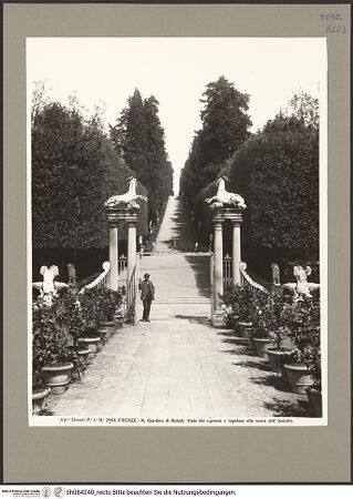 Vorderseite von bh084240_recto