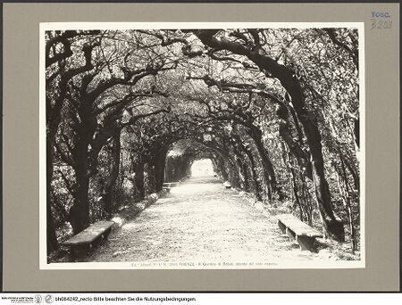 Vorderseite von bh084242_recto