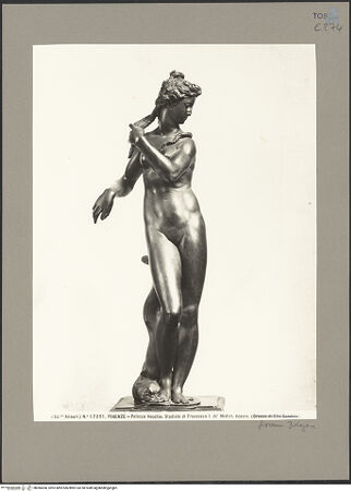 Vorderseite von bh084360_recto