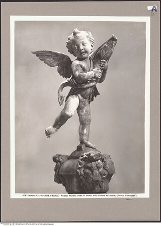 Vorderseite von bh084408_recto